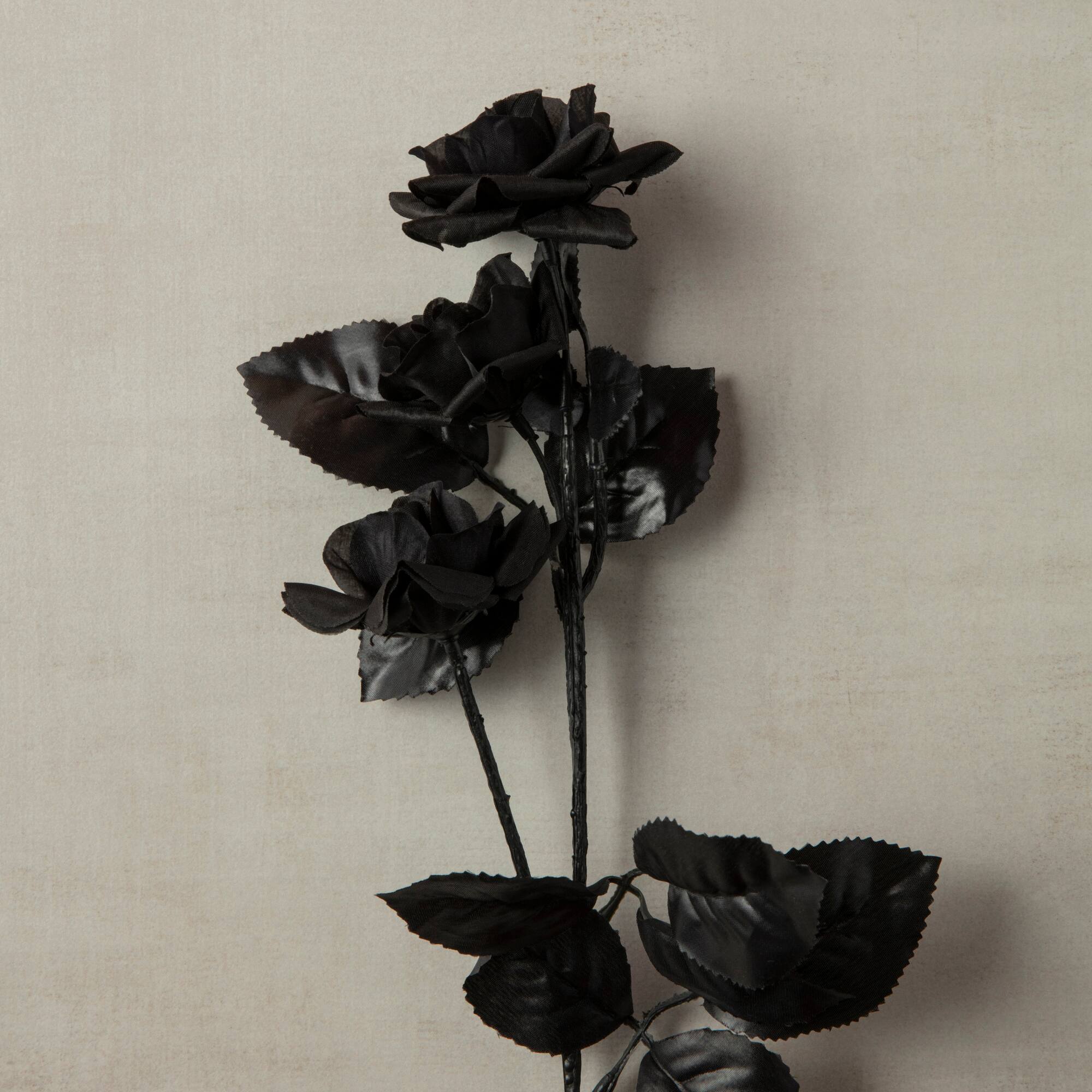 12 Pack: Black Diamond Rose Spray by Ashland®